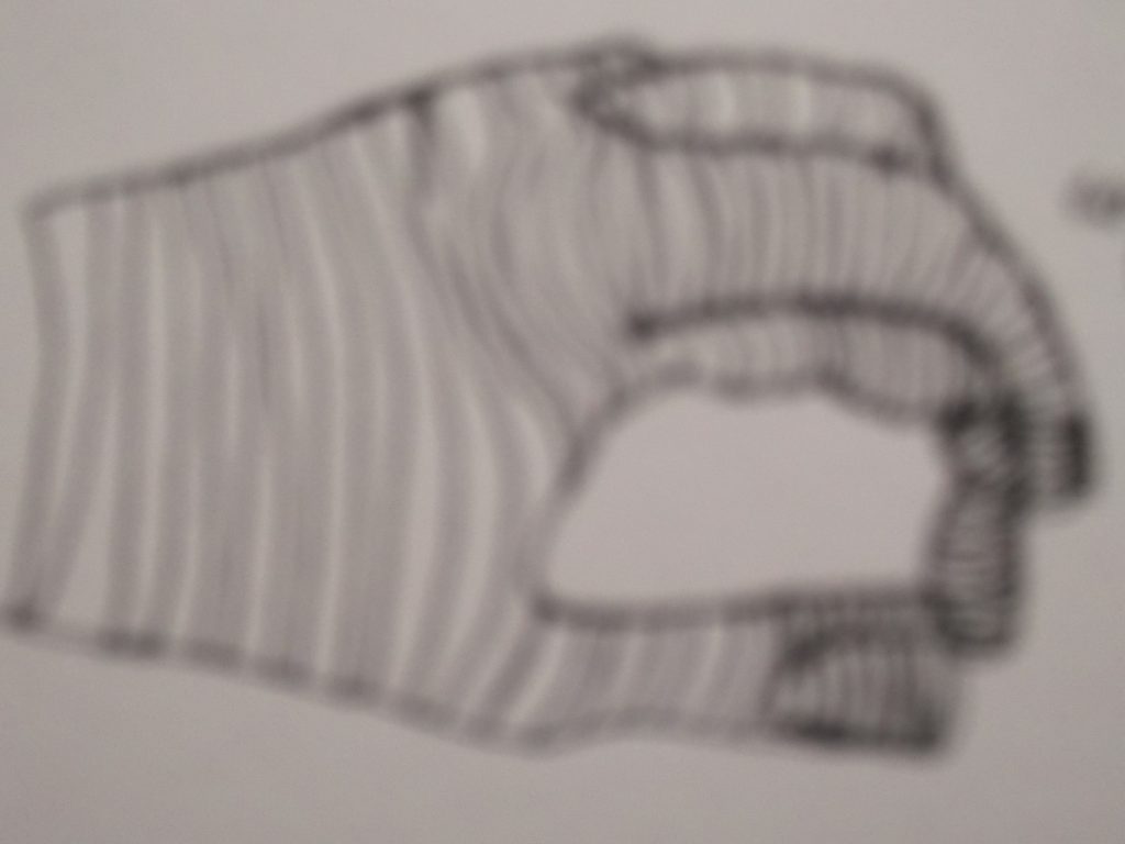 Hand Contours